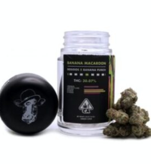 Buy-Banana-Macaroon-Weed