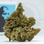 afghani