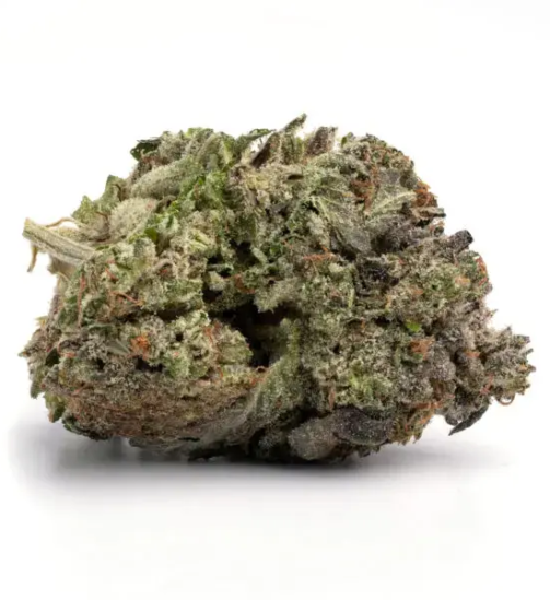 alien seeds online