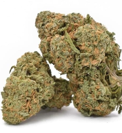 durban_poison