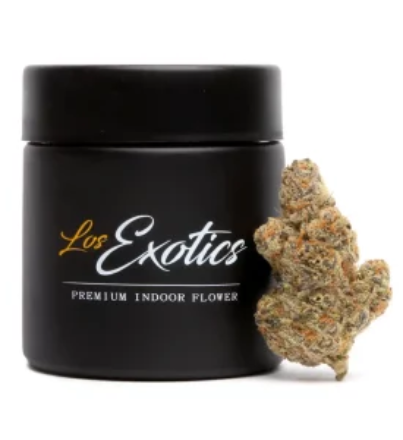 los_exotics_citrus_jack-300x300-2